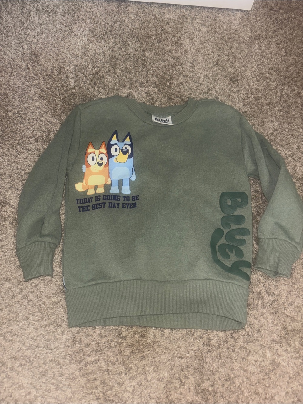 Kids Olive Green Bluey Graphic Crew Sweatshirt